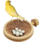 Birds products