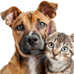Pets products