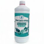 Vital Calci-D Plus